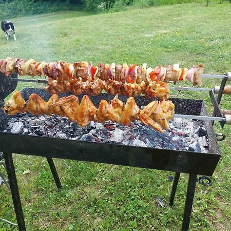 Brvnara Kraj Dunava Zelena Oaza Banostor المظهر الخارجي الصورة