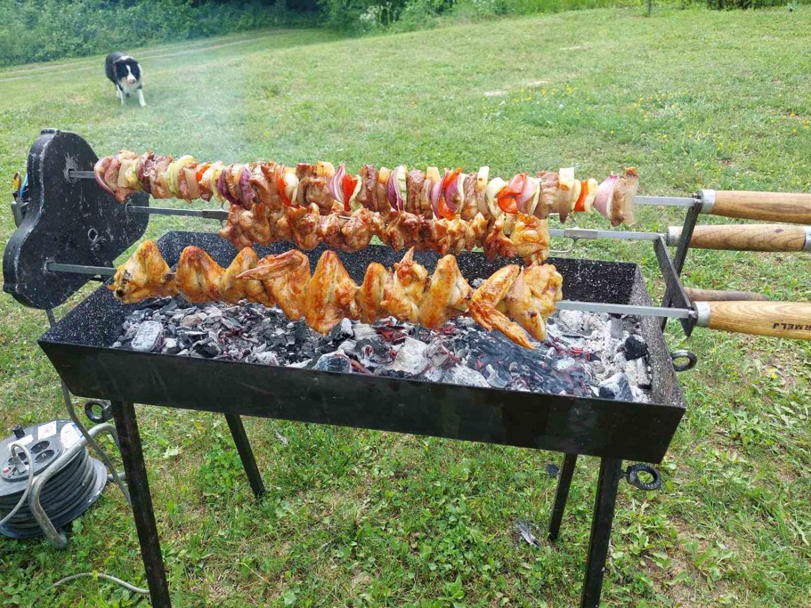 Brvnara Kraj Dunava Zelena Oaza Banostor المظهر الخارجي الصورة